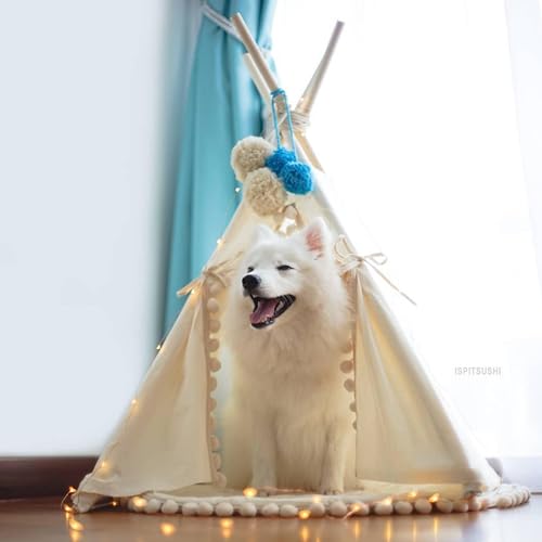 Pet Teepee Bed for Dogs and Cats (Medium)