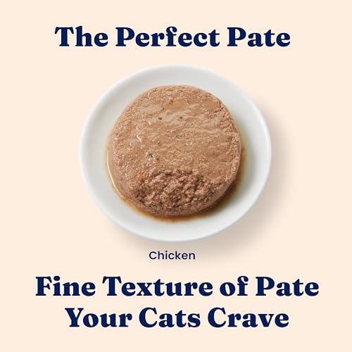 Indoor Wet Kitten Food (24 Pack)