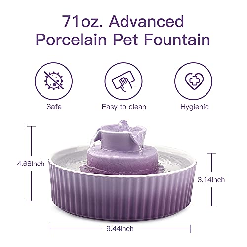 Cat Water Fountain