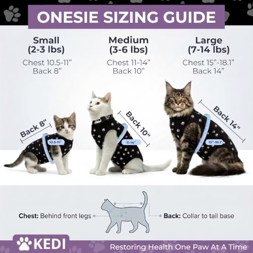 Cat Recovery Suit Female After Spay (Black / Large)