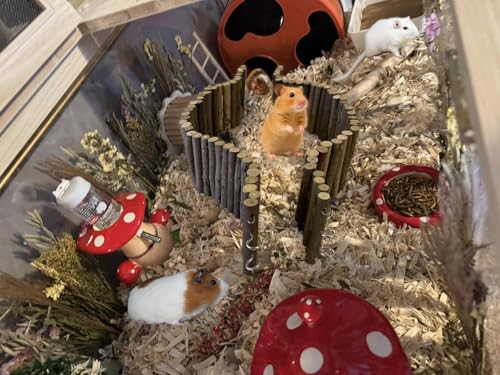 Wooden Hamster Suspension Bridge Toy