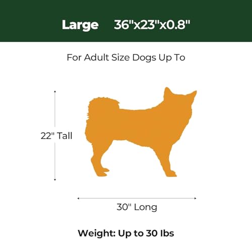 Dog Crate Pad (36.0"L x 23.0"W x 0.8"Th / Granite Green, 1 Pack)