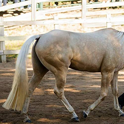Horse Tail Extensions with Braided Horsehair Loop (3/8 LB (28"-30") / Palomino)