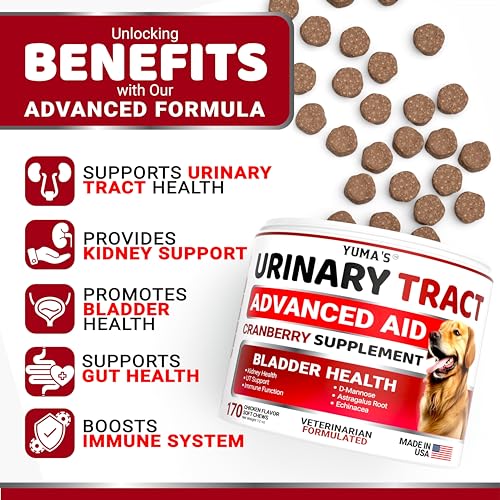 Cranberry Supplement for Dogs (Urinary & Bladder Multivitamin / 170 Chews)