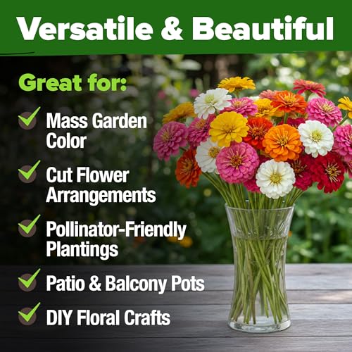 Zinnia Seeds Pumila Mix