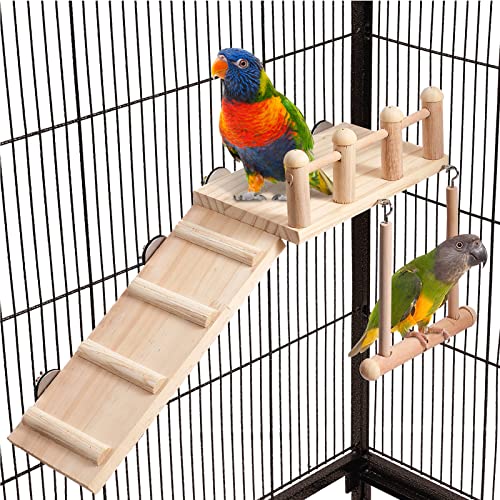 Bird Perches Platform Swing with Climbing Ladder