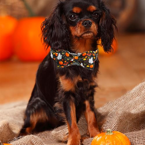 Fall Dog Collars Bow (Mushroom Ghost / X-Large (Pack of 1))