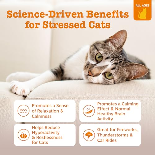 Cat Calming Mousse