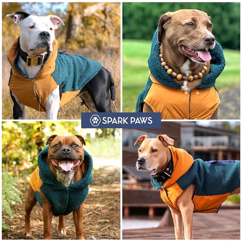 Reversible Dog Hoodie Sweater (Orange and Green / XL)