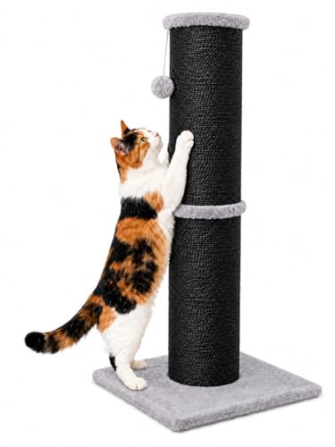 32 Inch Tall Cat Scratching Post (X-Large / Black)
