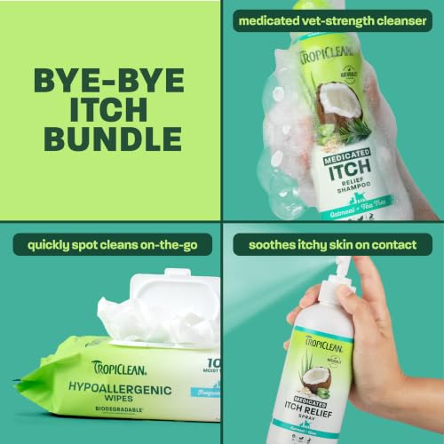 Oatmeal & Medicated Itch Variety Pack