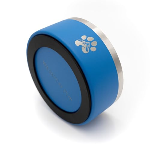 Stainless Steel Dog Bowl (Blue / 32oz)