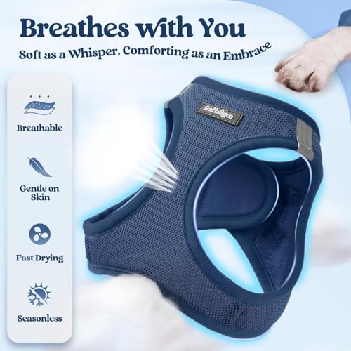 Dog Harness Medium Sized and Leash Set (Navy Blue / M (chest: 16 - 18.5"))