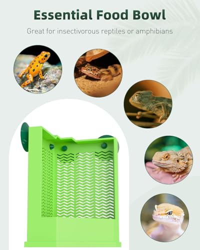 Reptile Feeder Bowl (Corner Mounted Feeding Dish / Large)