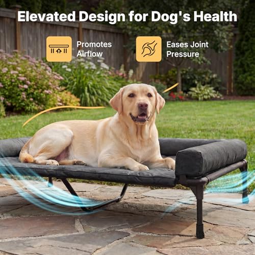 Outdoor Elevated Dog Bed with Waterproof Bolster Cushion (Black / 53.0"L x 37.5"W x 9.0"Th)