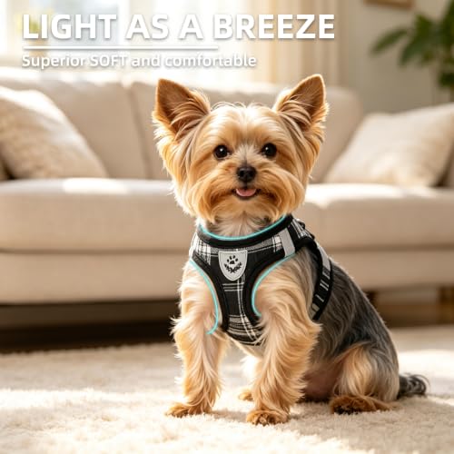 Dog Harness Collar and Leash Set No Pull for Small Medium Sized (Black / XL (CHEST 20"-22"))