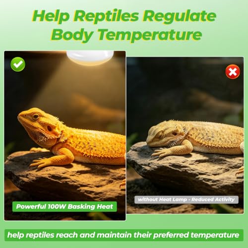 Reptile Heat Lamp Bulbs 75W (75)