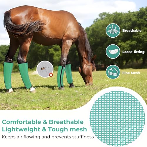 Mesh Horse Fly Boots Set of 4 (Green)