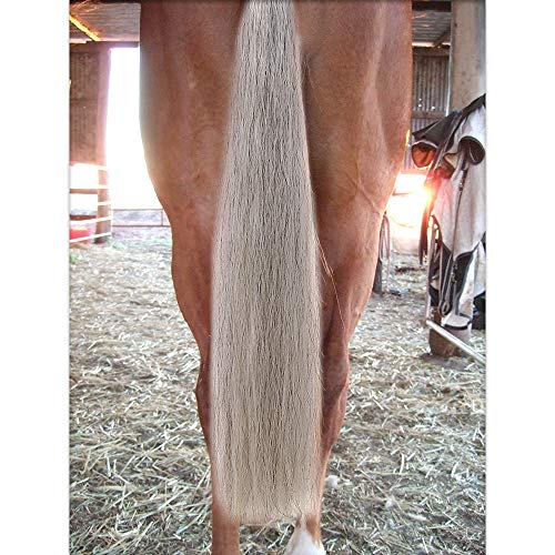 Horse Tail Extensions with Braided Horsehair Loop (3/8 LB (28"-30") / Light Gray)