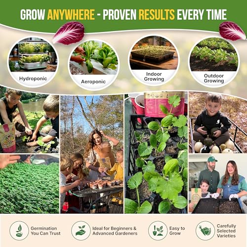 10 Lettuce & Salad Greens Seeds Variety Pack 13000+ Non