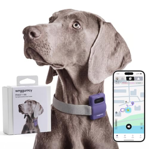 Pet Habit & Activity Smart Tracker