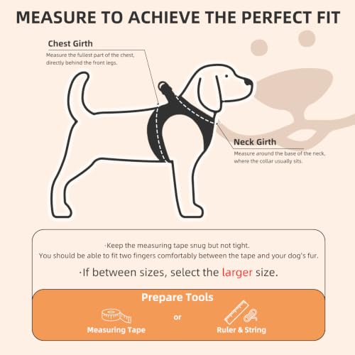 Dog Harness Collar and Leash Set No Pull for Small Medium Sized (Orange / S (CHEST 14.5"-16"))
