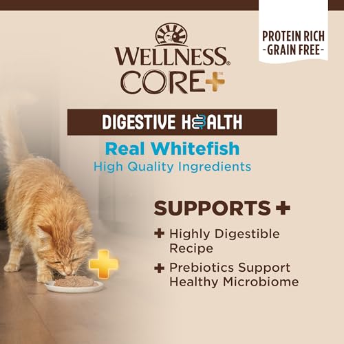 CORE+ Digestive Health Pate Adult Canned Wet Cat Food (3 Ounce (Pack of 12))