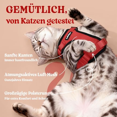 Cat Harness and Leash Set (Xxs / Red)