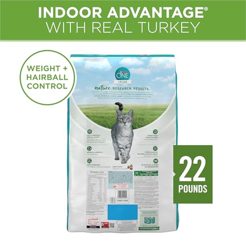Natural Indoor Dry Cat Food (22 Pound (Pack of 1))