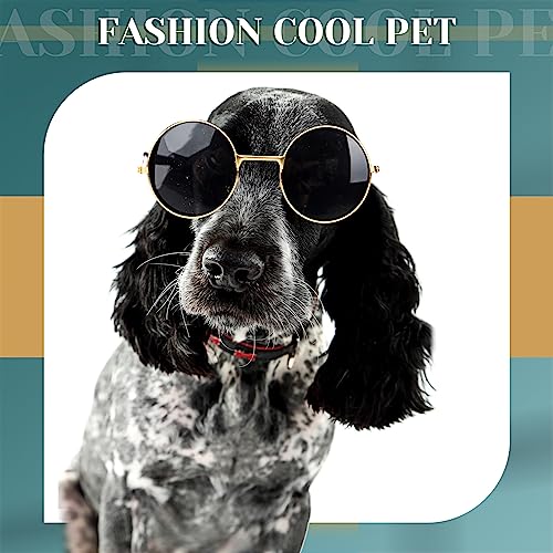 Dog Sunglasses Round Metal Pet Eyewear (Gold, Black / Modern Style)
