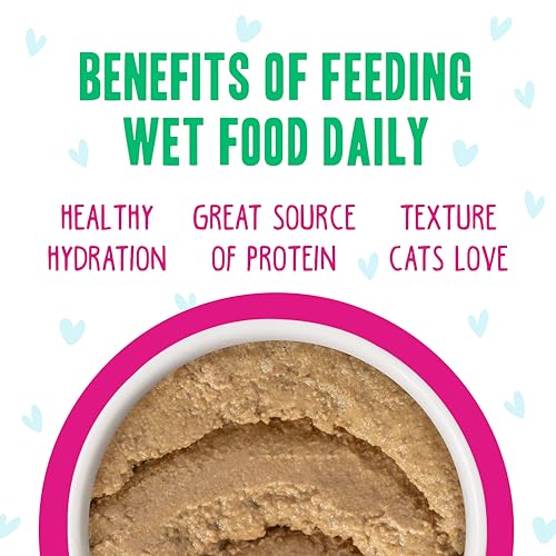B.F.F. Play Best Feline Friend Paté Lovers (2.8 Ounce (Pack of 18))