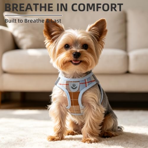 Dog Harness Collar and Leash Set No Pull for Small Medium Sized (Light Blue / M (CHEST 16"-18"))