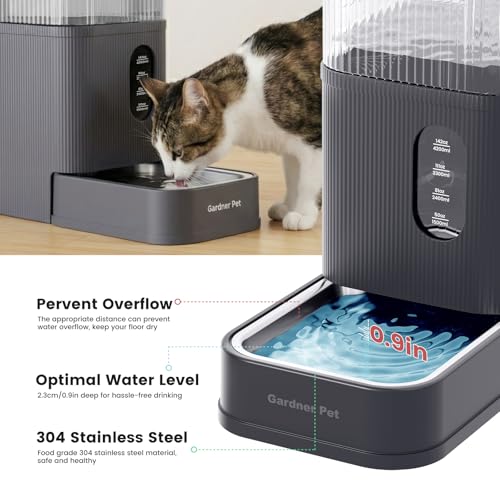 2.9 Gallon Automatic Dog Water Dispenser with Stainless Steel Bowl (Grey / 2.9 Gallon)