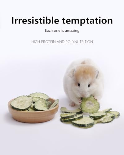 Hamster Snack & Treats Toy