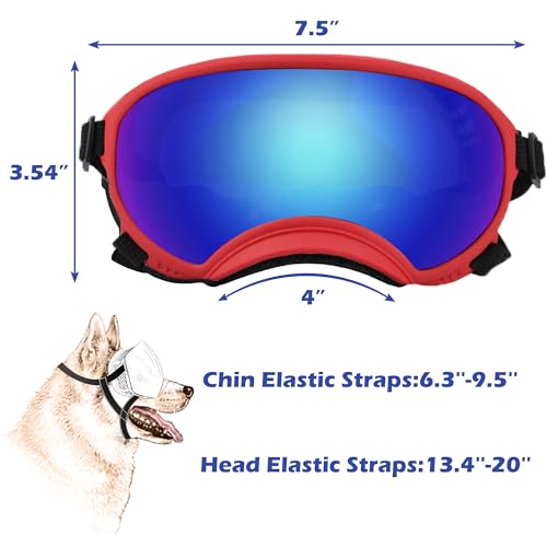 Large Dog Sunglasses