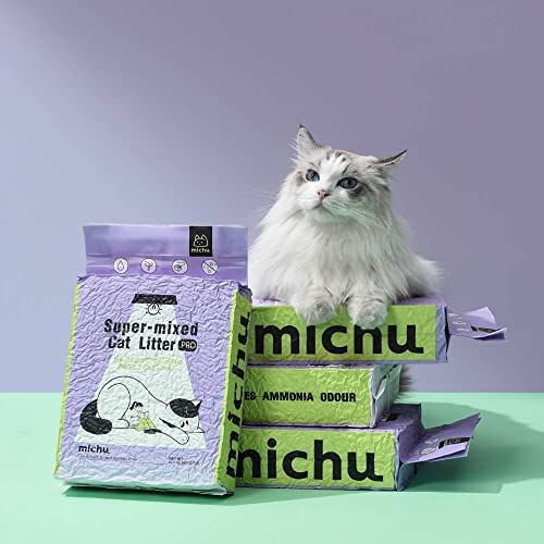 Tofu Cat Litter Natural Clumping Tofu Cat Litter 5.5lb (2 Pack / Greentea + Mixed)