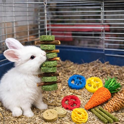 20 PCS Bunny Chew Toys for Teeth (20 Pcs)