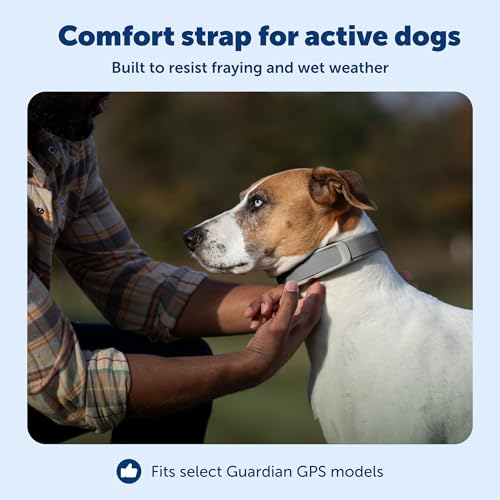Guardian GPS + Tracking Dog Fence Replacement Collar Strap (Gray / Replacement Strap)