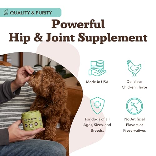 Hip & Joint Chews for Dogs (90 Count / Hip and Joint)