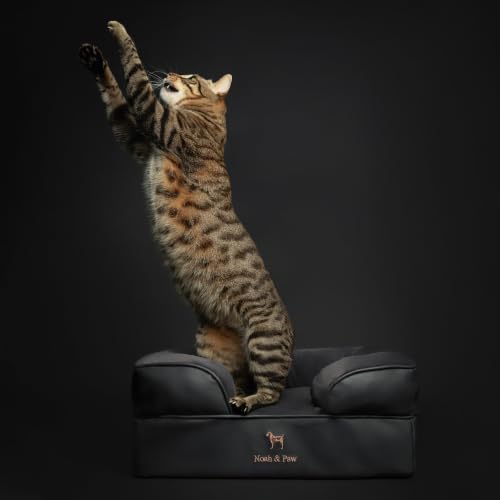 Cat Bed XS Dog Bed (Charcoal - LE / Small)