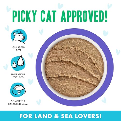 B.F.F. Play Best Feline Friend Paté Lovers (2.8 Ounce (Pack of 12))