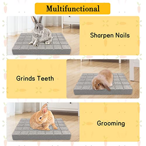 Rabbit Grinding Claw Pads Bunny Scratch Foot Pad 2Pack Natural (White 2x Large)