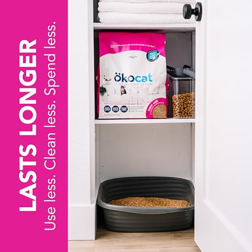 Super Soft Natural Wood Clumping Cat Litter (22 lbs / Super Soft)