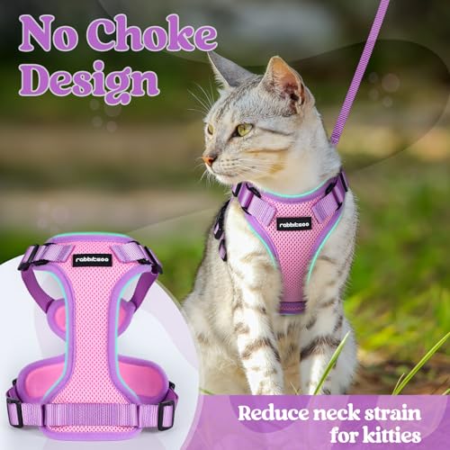 Cat Harness and Leash Set (Pink & Purple / Xs)