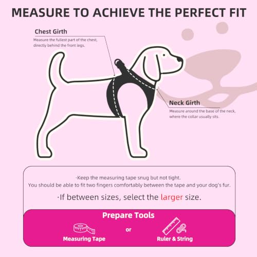 Dog Harness Collar and Leash Set No Pull for Small Medium Sized (Solid DeepPink / XS (CHEST 13"-14.5"))