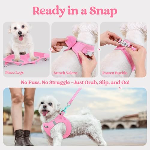 Dog Harness Small Sized and Leash Set (Light Pink / Xs (chest: 13.3 - 15.5"))