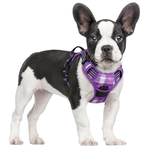 Dog Harness No Pull for Small Dogs with 2 Leash Clips (Small / Purple Plaid)