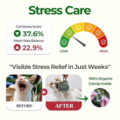 Green Cat Ball (Green W/O Bell / 2.7inch)