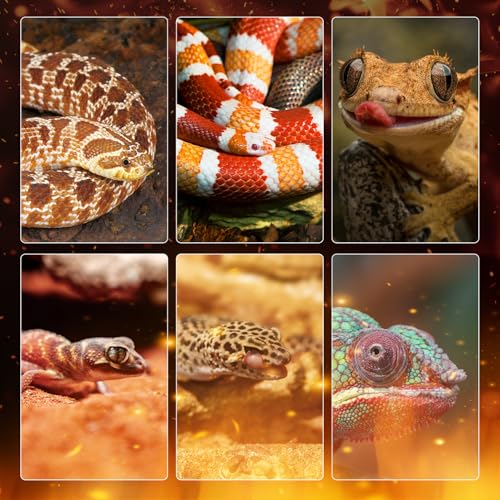 Reptile Heating Panel Temperature Adjustable Reptile Heat Panel for Terrariums