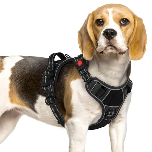 Dog Harness No Pull for Small Dogs (Small / Black)